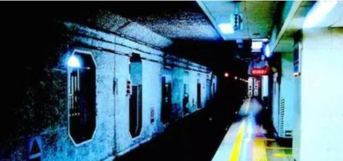 一、 事件概述与研究背景