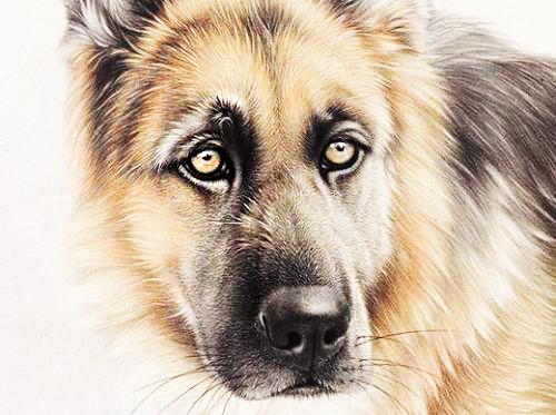 82属狗大海水命微信图案如何改写成长尾？