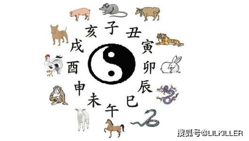 事业运势