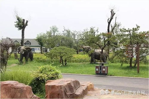 临沂动植物园：堪动物笑到肚子疼 （忒别是那只懒熊猫！）