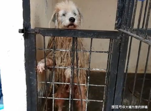 四、 镜子碎裂：破镜禁忌与因果报应