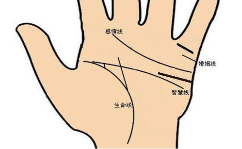 4. 婚姻关系线