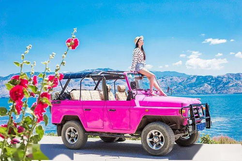 惯与那点儿“小钱”—— 大理到昆明的交通费用