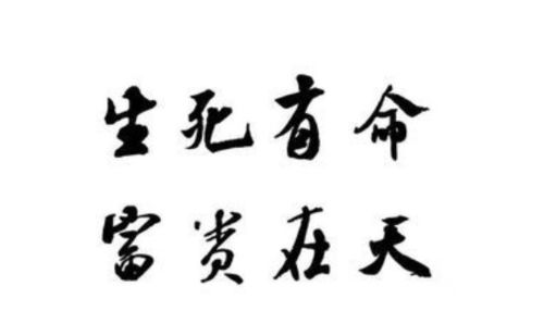 1.1 民间俗语中的宿命观念