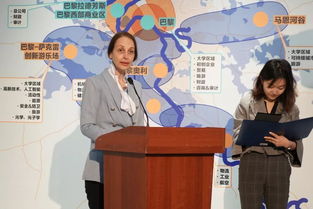 四、“ 吴新明会见兰精集团首席施行官”、洪尧等案例分析: 多元风格融合