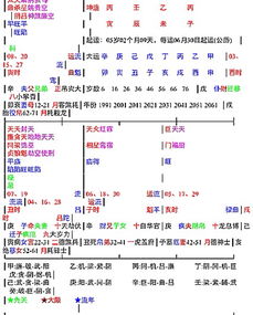 三、  较大运周期改变中的关键节点：从诞生年到成年后的十分沉关键转折点解析