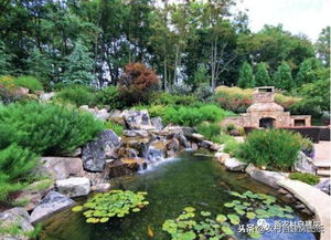 聚财效应：水的象征意义