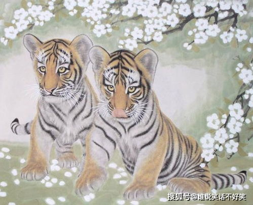 怒不可遏对应哪个生肖？这生肖尾巴特长吗？