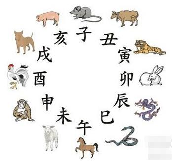 1.1 事业层面的具体表现