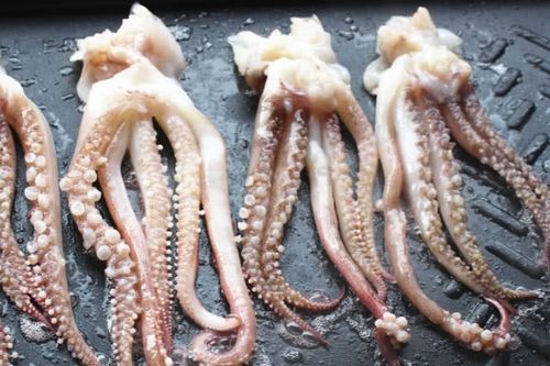 梦见吃鱿鱼究竟有什么特殊寓意？