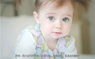 在这个喧嚣的世界里寻找那一抹独特的音韵