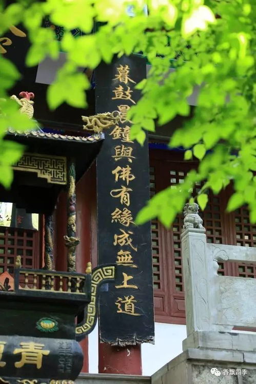 清竹里精品民宿
