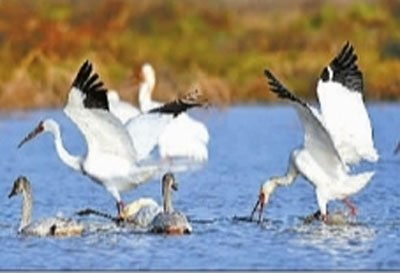 一、  德行伦理层面的亏欠：人伦大道的背离