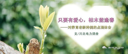 第二一部分：根据季节和周边环境定制化命名——让你家枯树成为邻居眼中的网红存在!