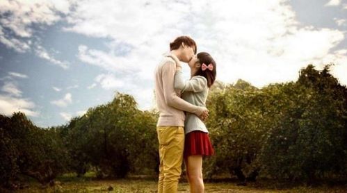 7. 鼠（机敏却多疑）