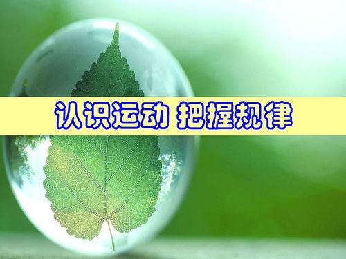 顺应自然规律与“曲成万物”的实践理性