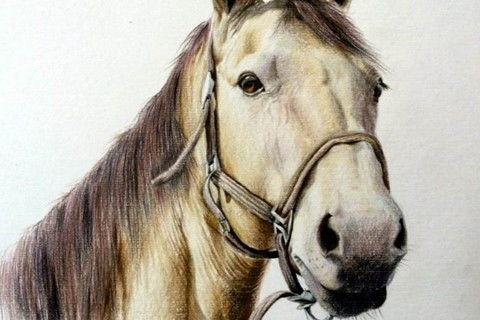 66年属马人今年犯太岁该如何化解？佩戴什么物品可以化太岁？