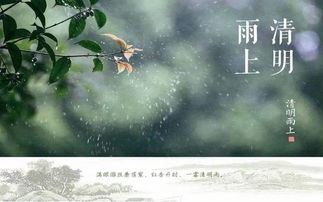 （一）情绪化叙事与恐怖意象的交织