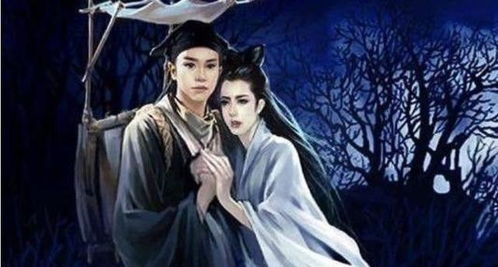 月老的反应与决定