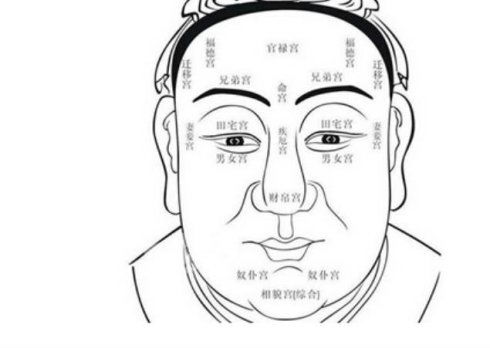 六、 鼻梁小而脸大：财运低迷难富足