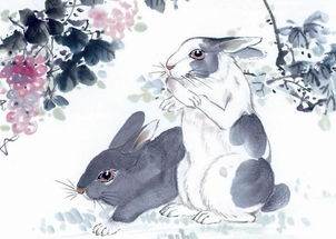 水旺对属兔、 属木、属水、属火人士运势的推动效应