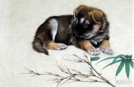 生肖狗和猪相配吗？94年狗与95年猪相配意味着什么？