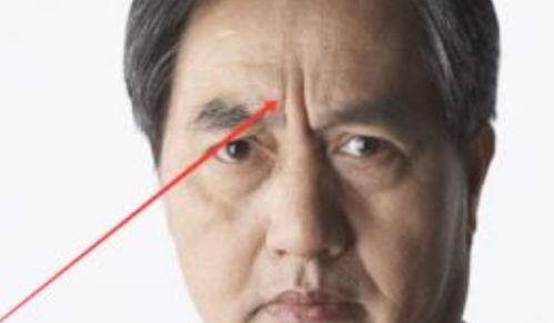 额头与官运及社会阶层的映射关系