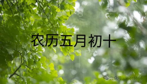 一、 时令背景与天文气象解析