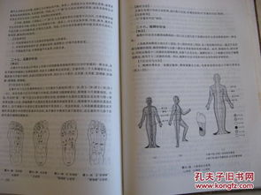 一、  理论基石与诊断前提：阴阳法则与尺脉闭合