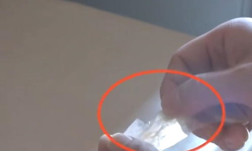 网友提问与解答