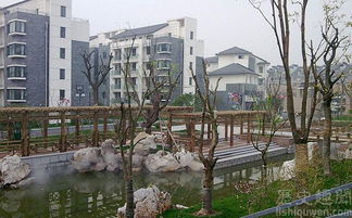 小区风水把人整疯啦