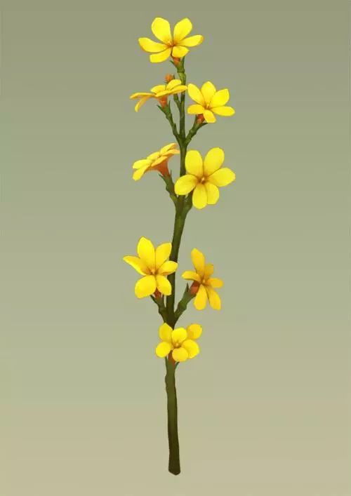 迎春花属什么生肖？22朵迎春花代表哪个生肖？这是什么生肖象征？