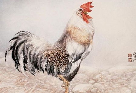 二、 2026年黄历警告！这些动物必须养