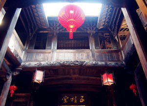 钟声与恐慌：周边环境因素的作用于
