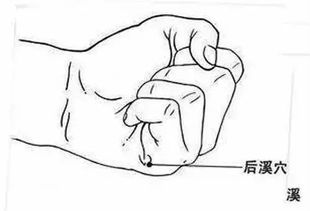 一、 国学视角的疼痛病理：经络、穴位与气血