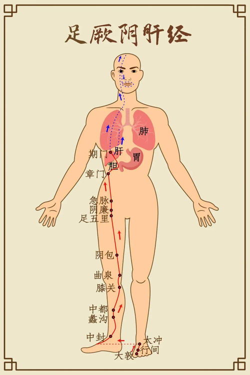 脾胃功能与睡眠的关系