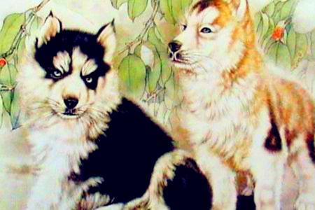 这生肖多情却似总无情，究竟指的是哪一种动物呢？