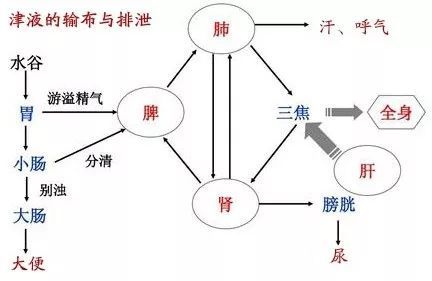 生基改运之道的内在逻辑