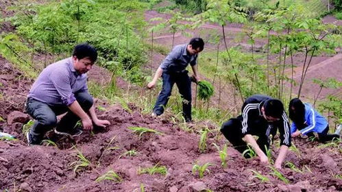 如何运用风水知识提升养殖业旺运效果？