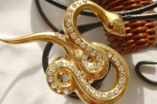 2026年属蛇的人运势中哪种颜色最为吉祥，推荐的旺运颜色是什么？