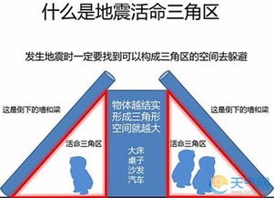 3.1 次生灾害与身心损害：关注受害者长期需求