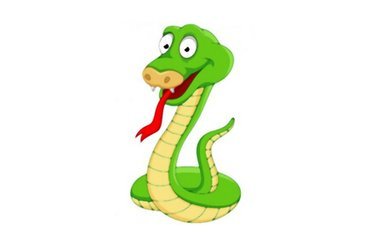 属蛇人今年应佩戴何吉祥物以旺官运？