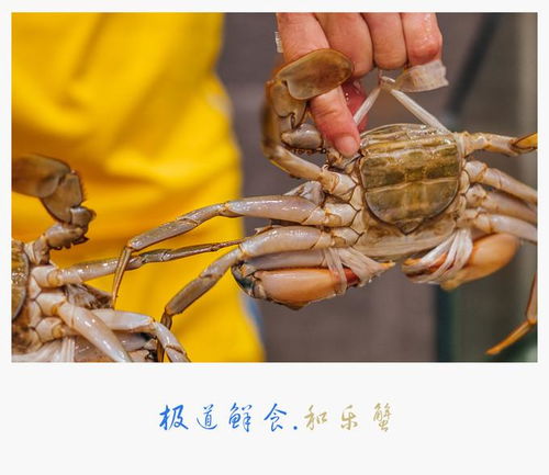 （一） 龙脉结穴的实证佐证