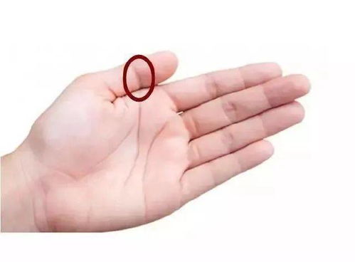 1. 面部轮廓与耳垂的形态演变