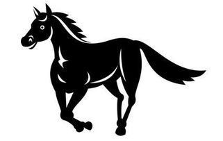 属马女生天生好运，买彩票的最佳时间是什么？