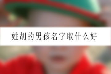 姓名搭配案例