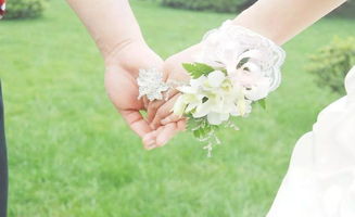 六、 蜜月旅行规划细节化处理