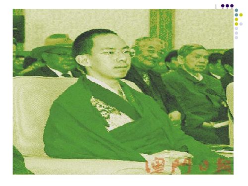 二、 拓跋氏的崛起及其政治领域联姻策略