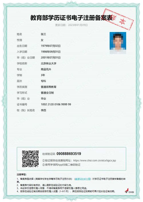 3. 实践经验与理论融会贯通的关键要素解析
