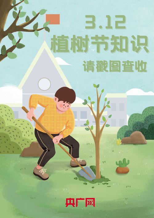 古代林业管理的制度智慧